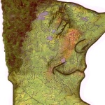 MN Head
